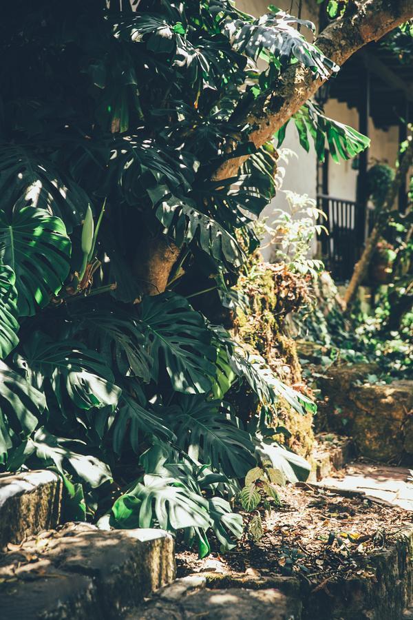 Hotel Hacienda Baza Tibana ภายนอก รูปภาพ
