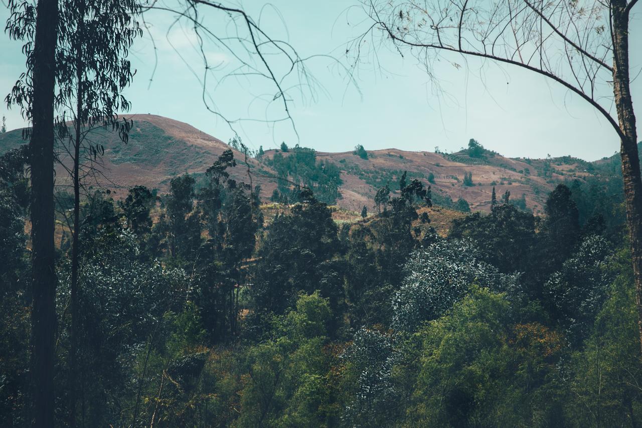 Hotel Hacienda Baza Tibana ภายนอก รูปภาพ